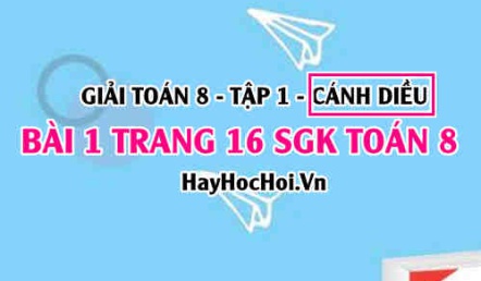 Giải bài 1 trang 16 Toán 8 Tập 1 SGK Cánh Diều